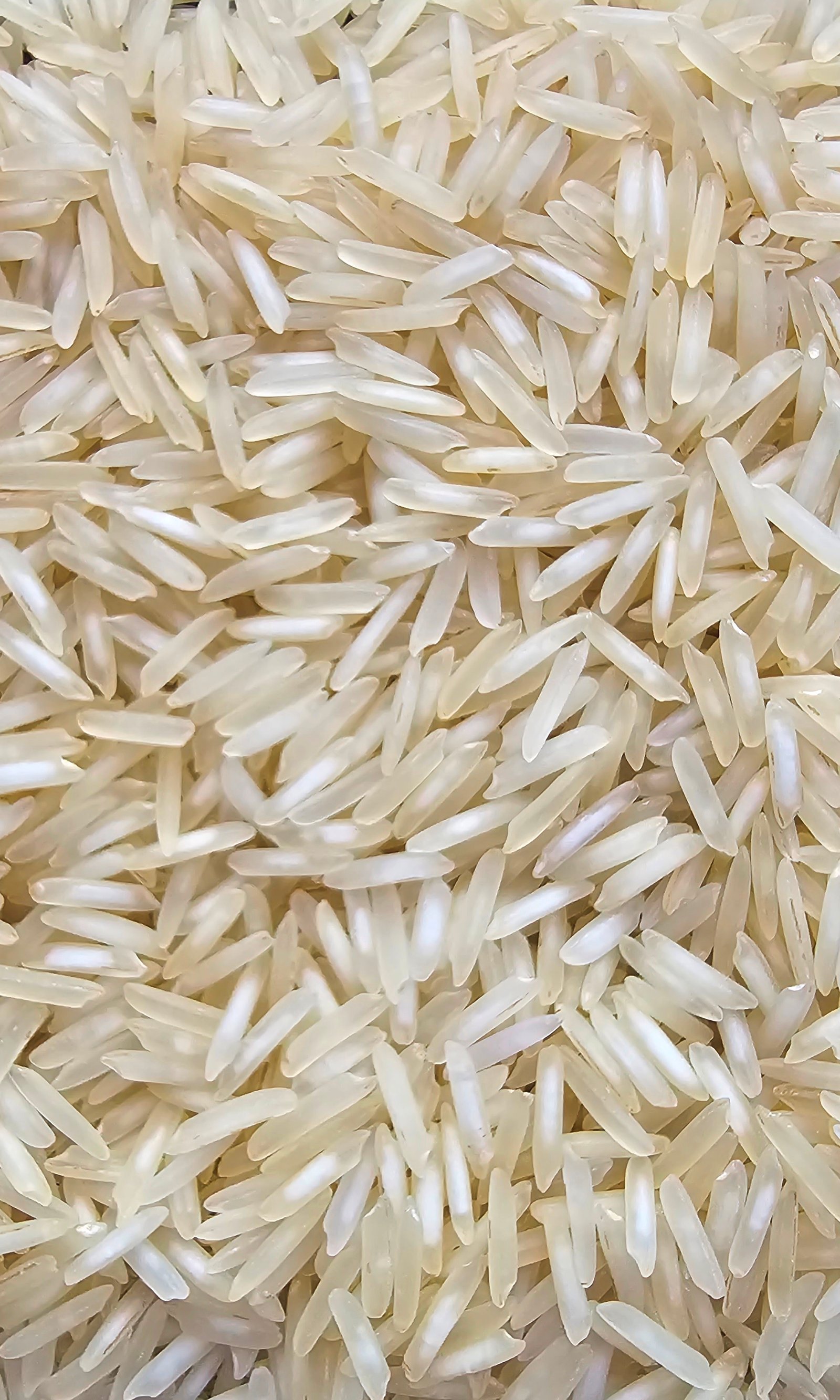 1121 Pesticide Residue Free Steam Rice